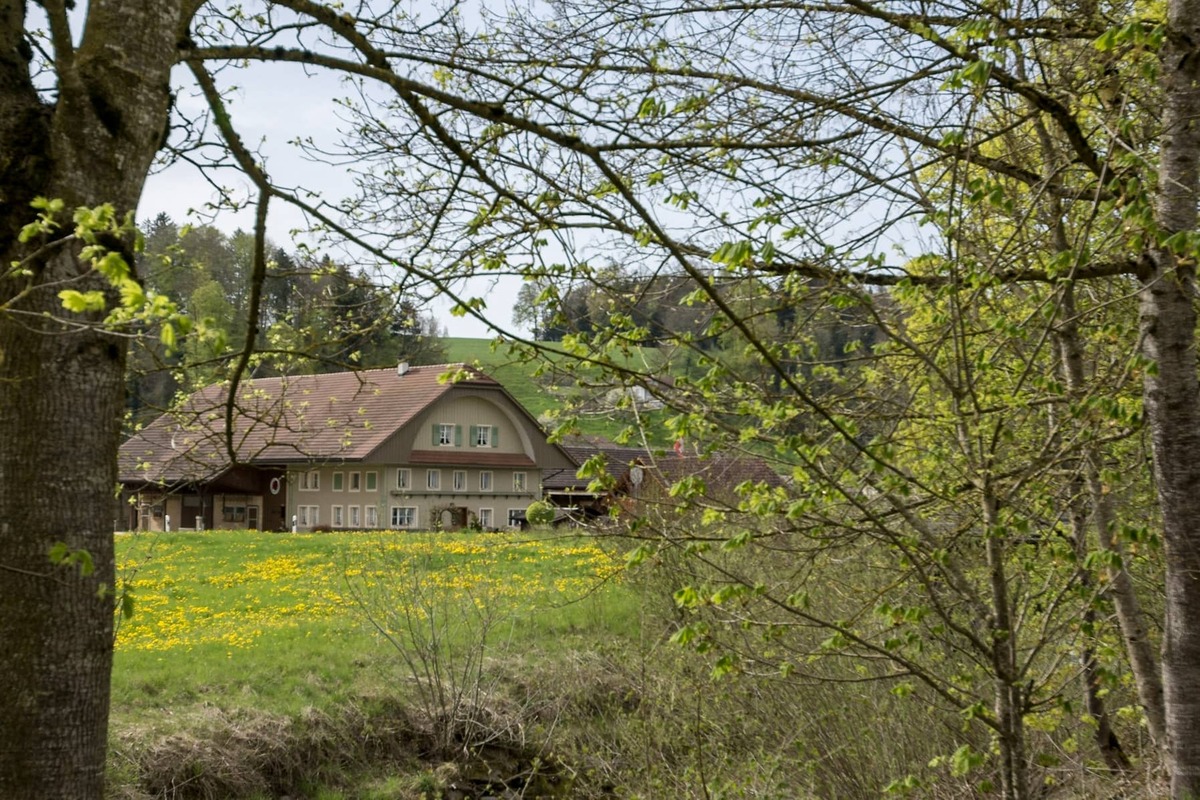 Äussere Malerei | Wey Malerei AG, Schötz